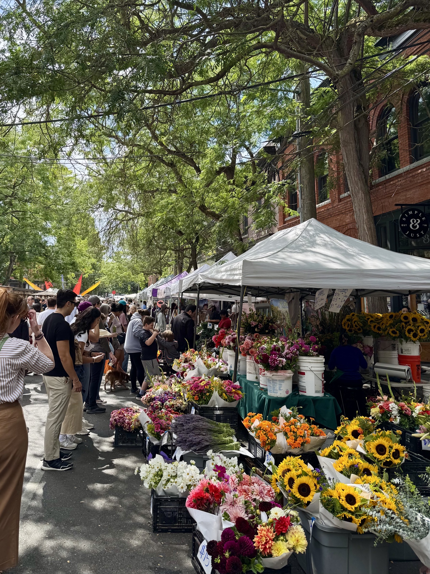 Flower stalls beneath leafy trees at the Ballard farmers market.